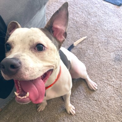 Watch babyface dri 🕷️'s leaked NSFW photo on TwXstars