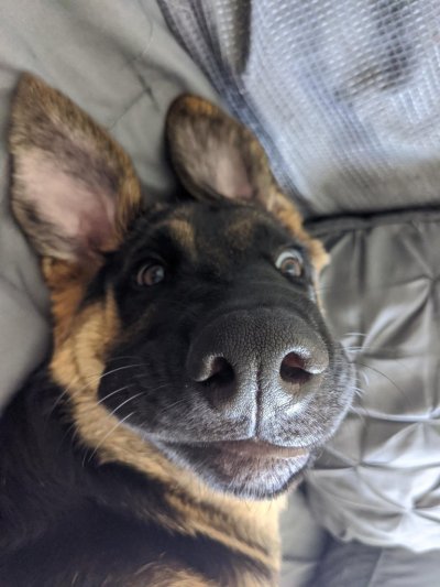 Watch rai's leaked NSFW photo on TwXstars