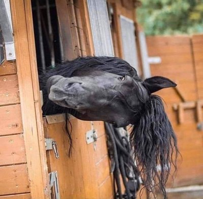 Watch KAY’DAY 🐥's leaked NSFW photo on TwXstars