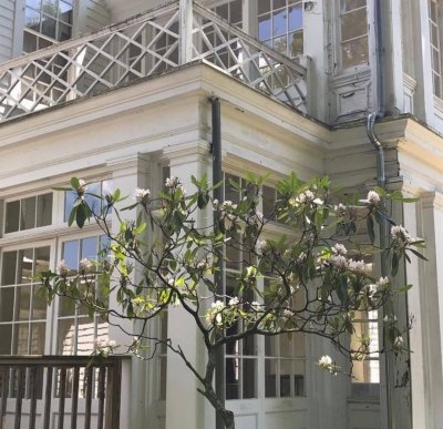 Watch em's leaked NSFW photo on TwXstars