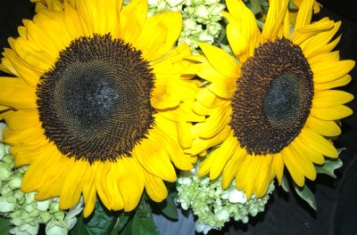 Watch Alina Ali ♡'s leaked NSFW photo on TwXstars