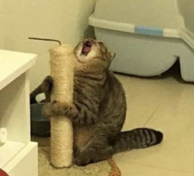 Watch spoon's leaked NSFW photo on TwXstars