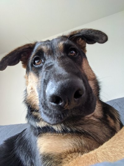 Watch rai's leaked NSFW photo on TwXstars