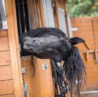 Watch KAY’DAY 🐥's leaked NSFW photo on TwXstars