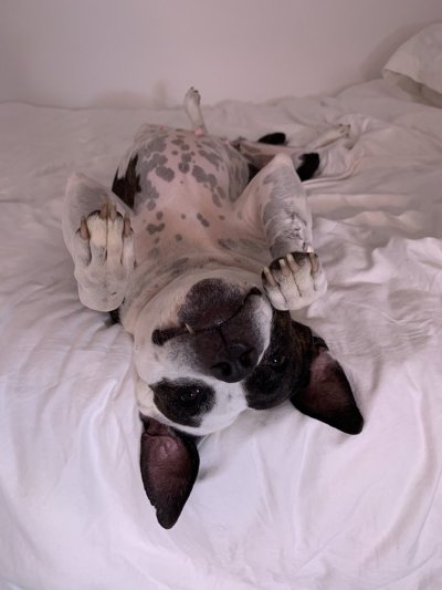 Watch Emily Brooke's leaked NSFW photo on TwXstars