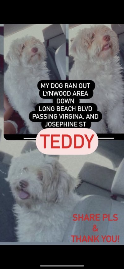 Watch Alice Ashley 🧸's leaked NSFW photo on TwXstars