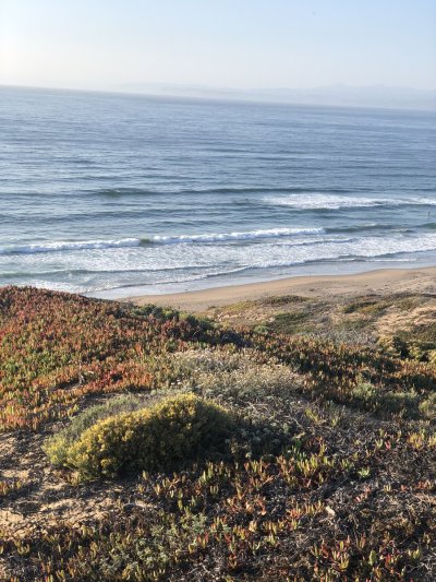 Watch Tori Easton's leaked NSFW photo on TwXstars