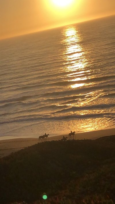 Watch Tori Easton's leaked NSFW photo on TwXstars