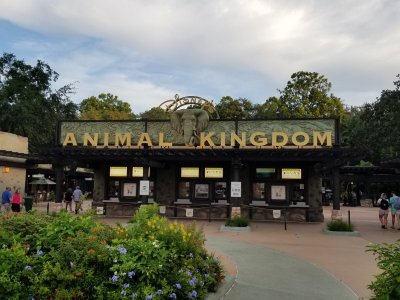 Watch Steven 🔞's leaked NSFW photo on TwXstars