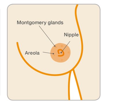 Watch 🔥Haute and Cold🧊's leaked NSFW photo on TwXstars