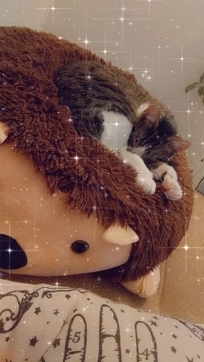 Watch 💕𝓜𝓪𝓮 💕's leaked NSFW photo on TwXstars