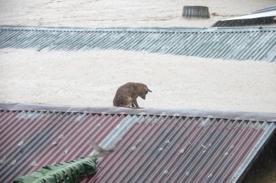 Watch Isabella Buscemi's leaked NSFW photo on TwXstars