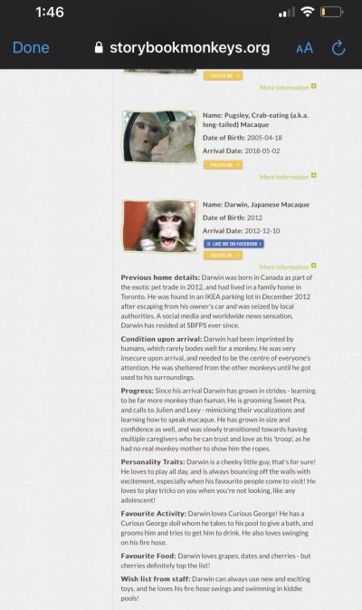 Watch 🔥Haute and Cold🧊's leaked NSFW photo on TwXstars