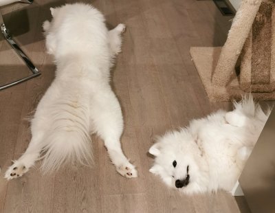 Watch Alinity's leaked NSFW photo on TwXstars