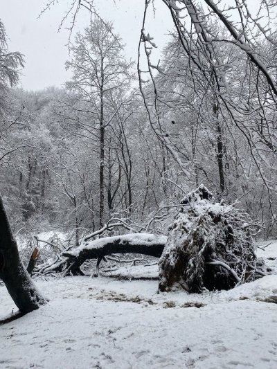 Watch Vex Ashley 🩸's leaked NSFW photo on TwXstars