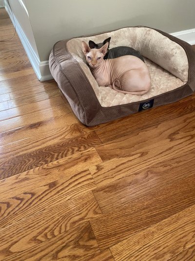 Watch Brianna Rose's leaked NSFW photo on TwXstars