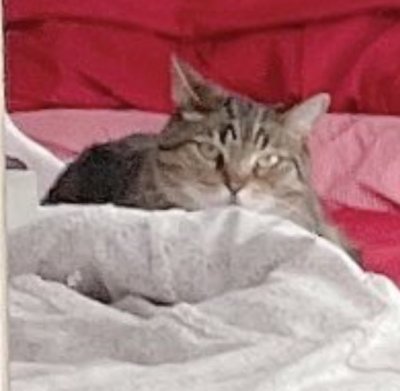 Watch RL RUNESCAPE GF's leaked NSFW photo on TwXstars