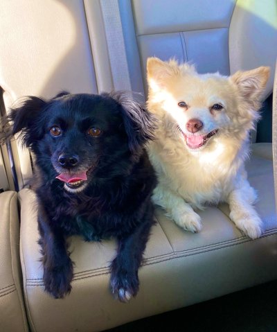 Watch Tia Fuckin Cyrus's leaked NSFW photo on TwXstars