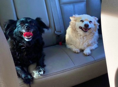 Watch Tia Fuckin Cyrus's leaked NSFW photo on TwXstars