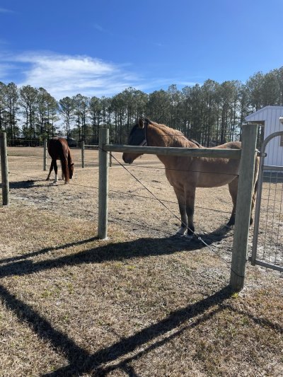 Watch Eva Lovia®'s leaked NSFW photo on TwXstars