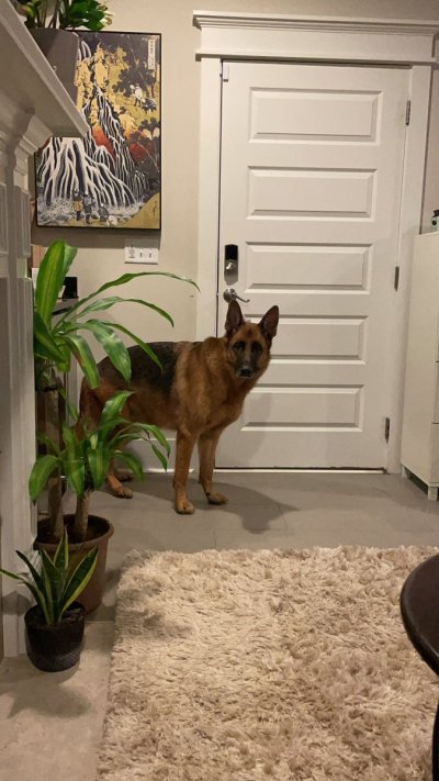 Watch Eva Lovia®'s leaked NSFW photo on TwXstars