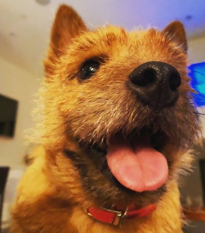 Watch Sleeping Giants's leaked NSFW photo on TwXstars