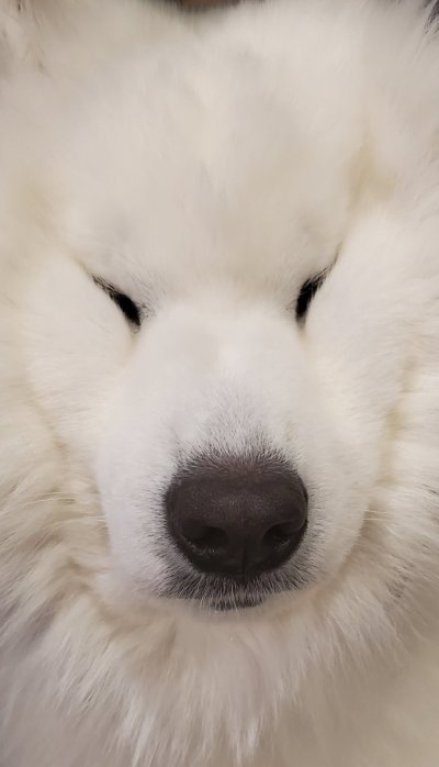 Watch Alinity's leaked NSFW photo on TwXstars