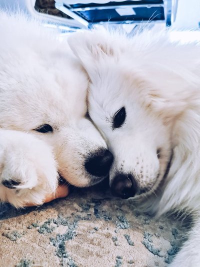 Watch Alinity's leaked NSFW photo on TwXstars