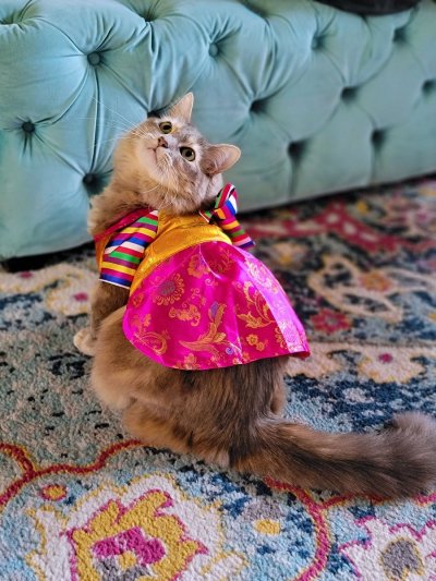 Watch OfficialEmpressJennifer's leaked NSFW photo on TwXstars