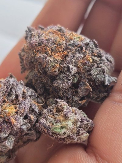 Watch rai's leaked NSFW photo on TwXstars