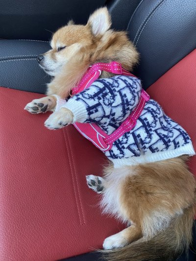 Watch Ashley Vee 🇵🇭's leaked NSFW photo on TwXstars