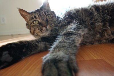 Watch nixxdee's leaked NSFW photo on TwXstars