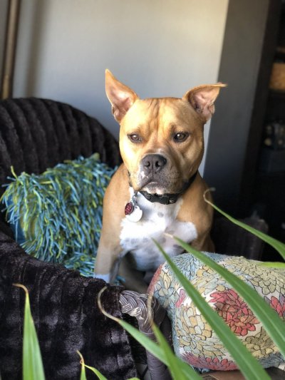 Watch My Alter Ego's leaked NSFW photo on TwXstars