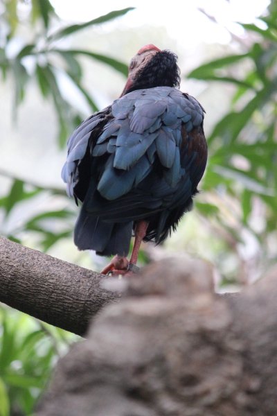 Watch 𝕯𝖆𝖎𝖘𝖞 𝕱𝖚𝖊𝖓𝖙𝖊𝖘 🥀's leaked NSFW photo on TwXstars