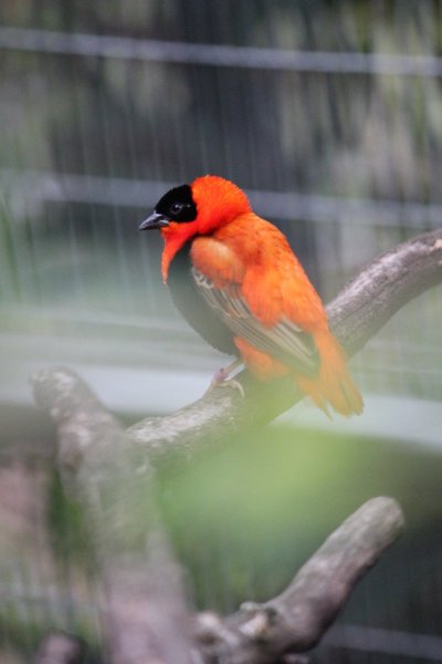 Watch 𝕯𝖆𝖎𝖘𝖞 𝕱𝖚𝖊𝖓𝖙𝖊𝖘 🥀's leaked NSFW photo on TwXstars