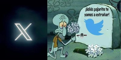 Watch Danyancat 🐰's leaked NSFW photo on TwXstars