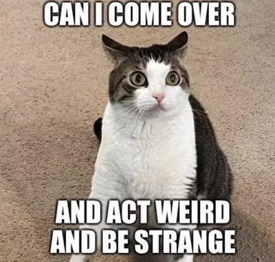 Watch huni 🍯's leaked NSFW photo on TwXstars