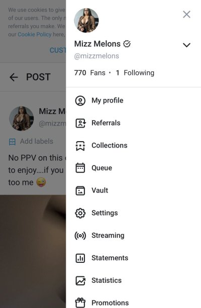 Watch Mizzmelons's leaked NSFW photo on TwXstars