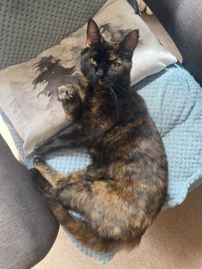 Watch emfaerie's leaked NSFW photo on TwXstars