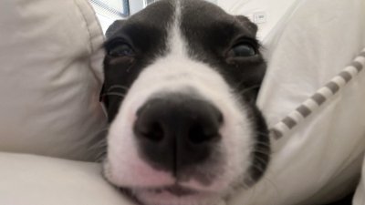 Watch 🥚🥚🥚's leaked NSFW photo on TwXstars