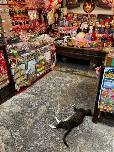 Watch 聖ひばり's leaked NSFW photo on TwXstars