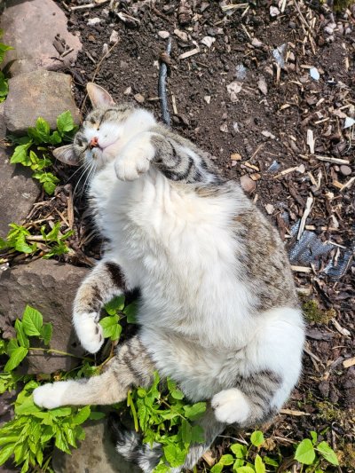 Watch Tektah's leaked NSFW photo on TwXstars