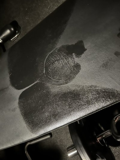 Watch 𝐏𝐢𝐞𝐫𝐜𝐞 𝐏𝐚𝐫𝐢𝐬's leaked NSFW photo on TwXstars