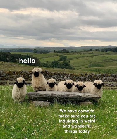 Watch huni 🍯's leaked NSFW photo on TwXstars