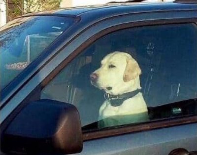 Watch Frosh ☄️'s leaked NSFW photo on TwXstars