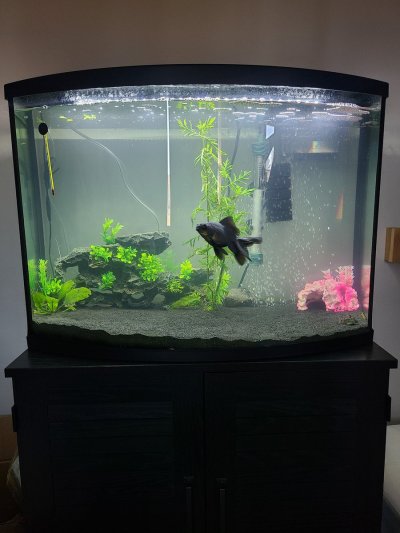 Watch ♊︎'s leaked NSFW photo on TwXstars