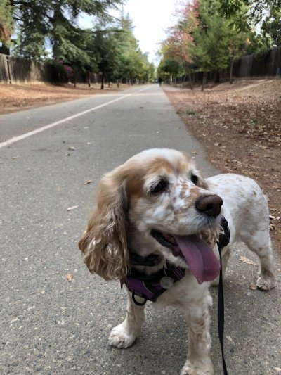 Watch Jarred Z's leaked NSFW photo on TwXstars