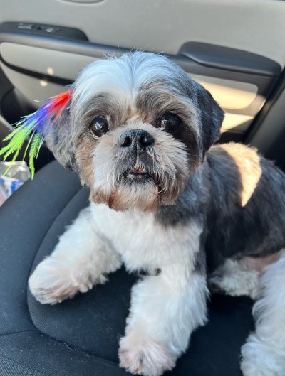 Watch ProFotoX's leaked NSFW photo on TwXstars