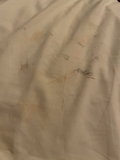 Watch Vanessa Vega's leaked NSFW photo on TwXstars