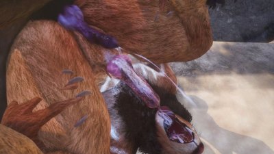 Watch WildLifeFurries's leaked NSFW photo on TwXstars